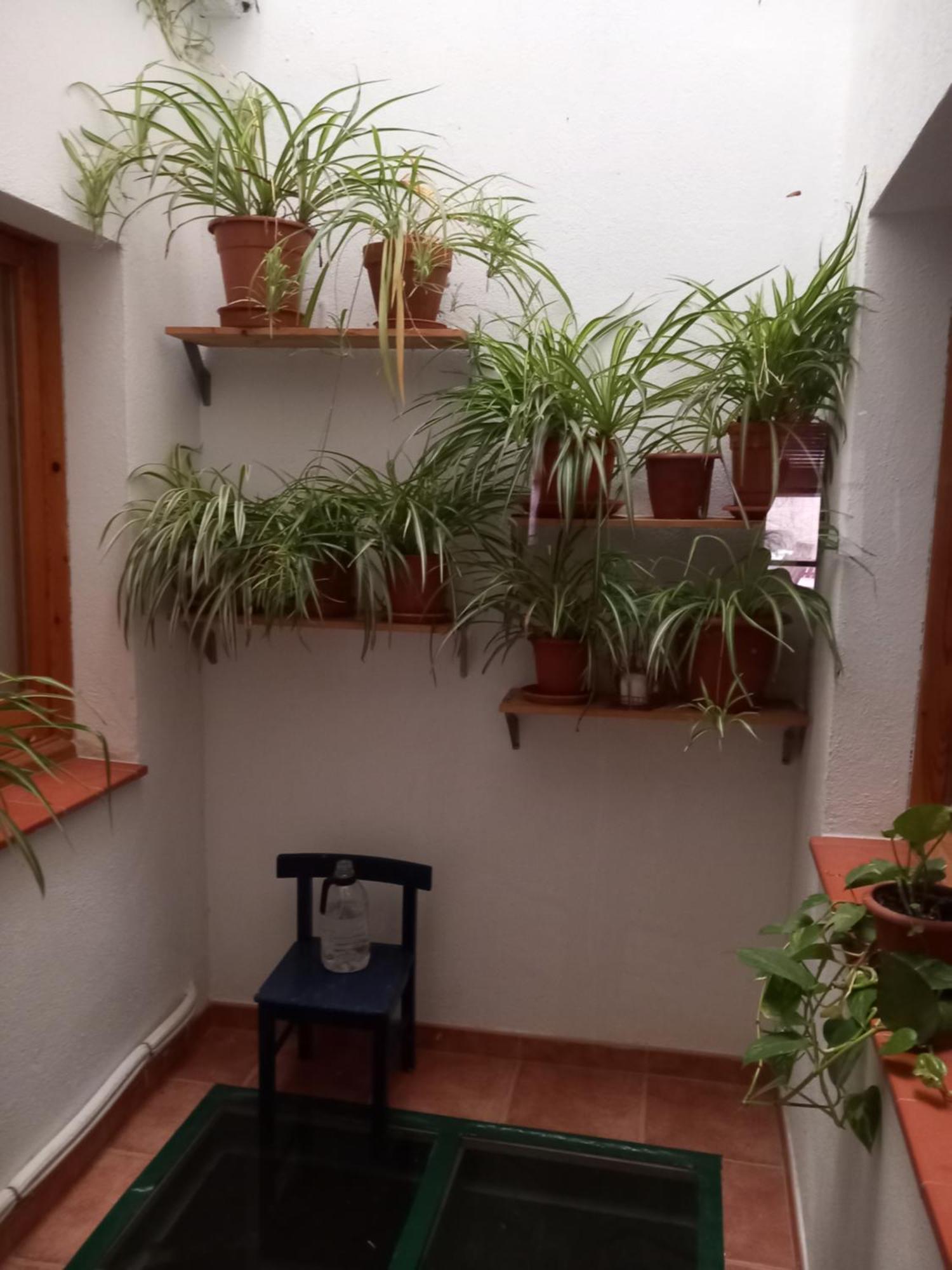 Cal Manyo Pension Puigvert de Lérida Buitenkant foto